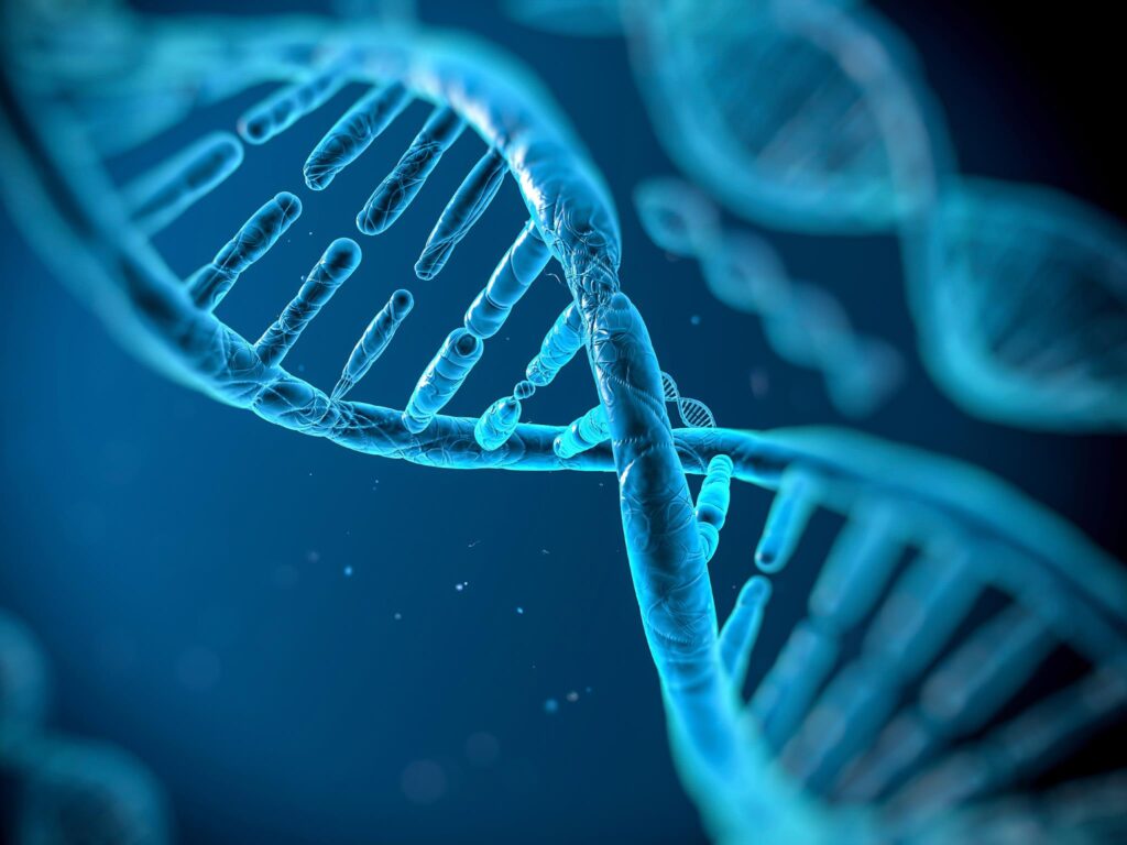 sn-genetransfer
